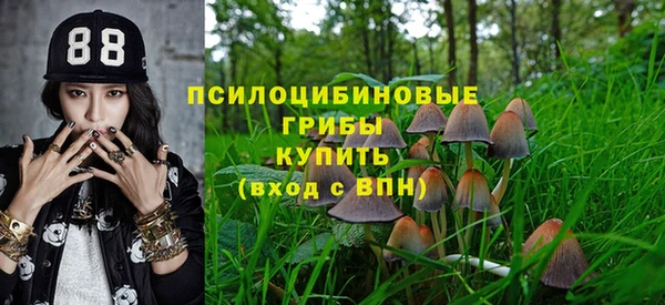 первитин Верея