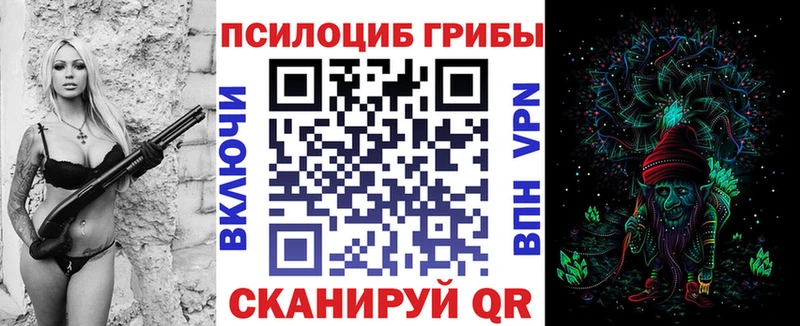 Купить закладки  Рассказово  Галлюциногенные грибы Magic Shrooms 